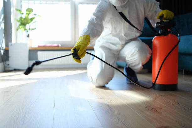 Reliable Odor Removal contractor in Riverton, UT by Trauma Clean Pros
